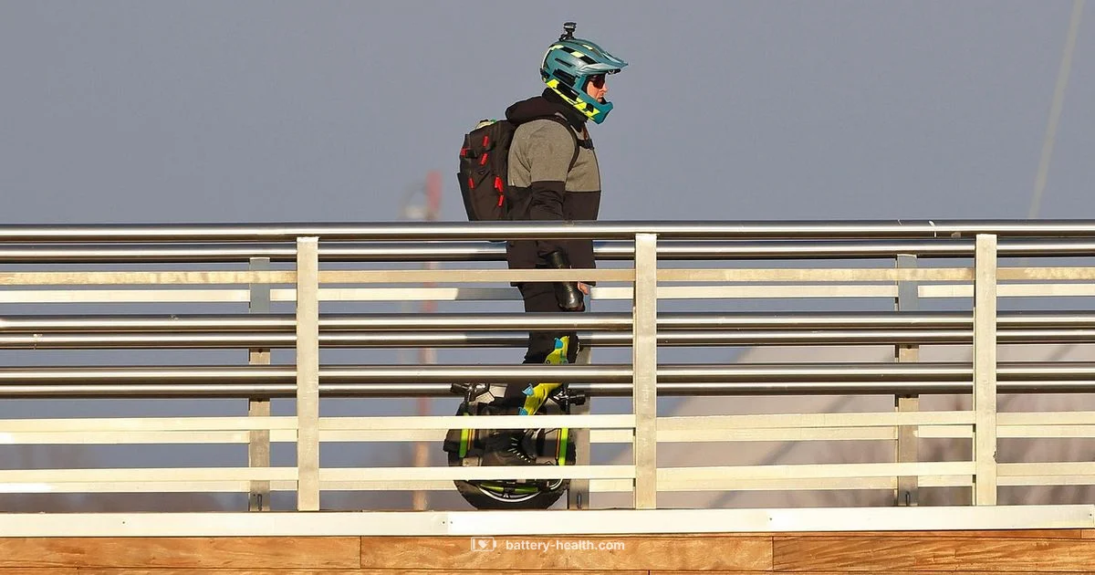 48V Battery Guide - Battery Health