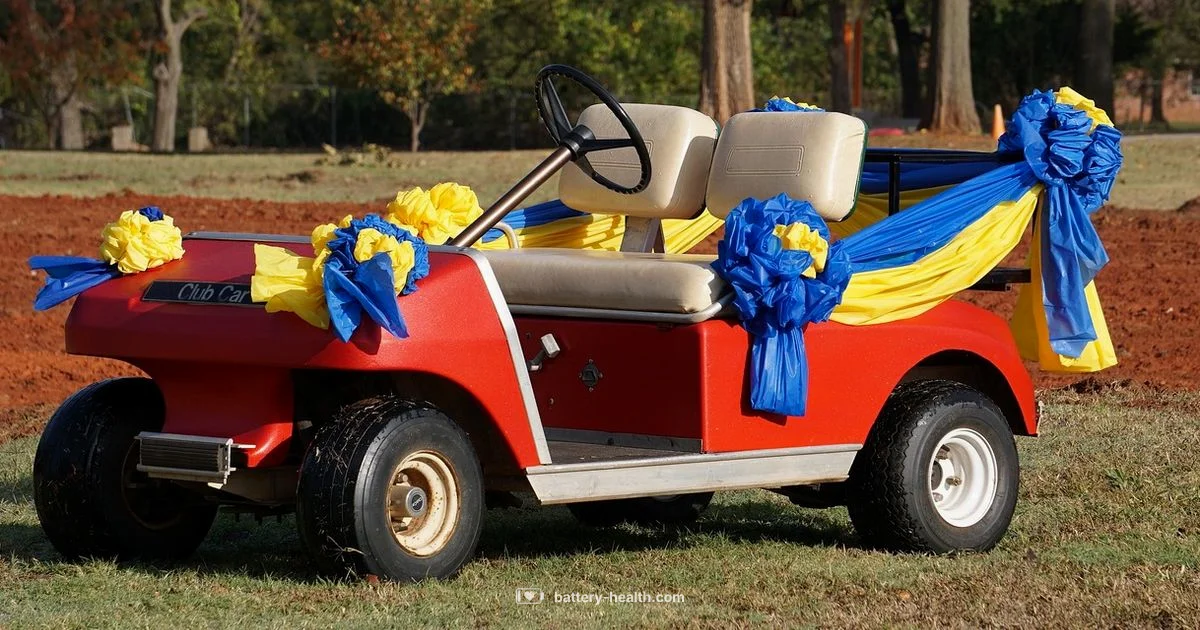 Cart Battery Basics - Battery Health