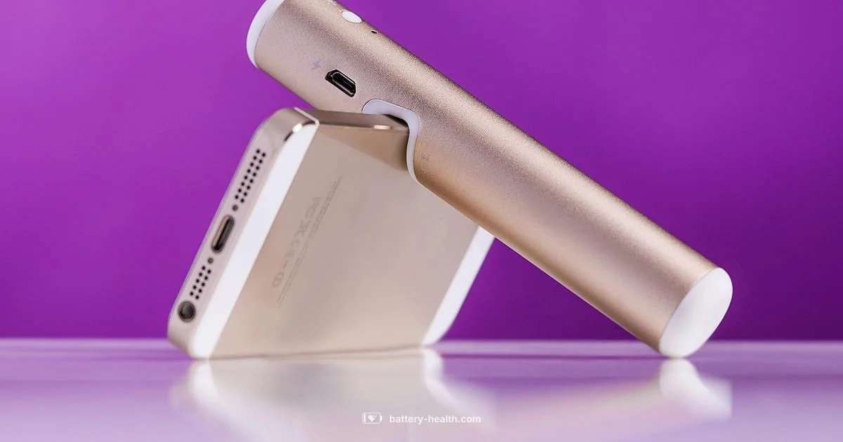 USB Port Battery USB Port Battery - Battery Health