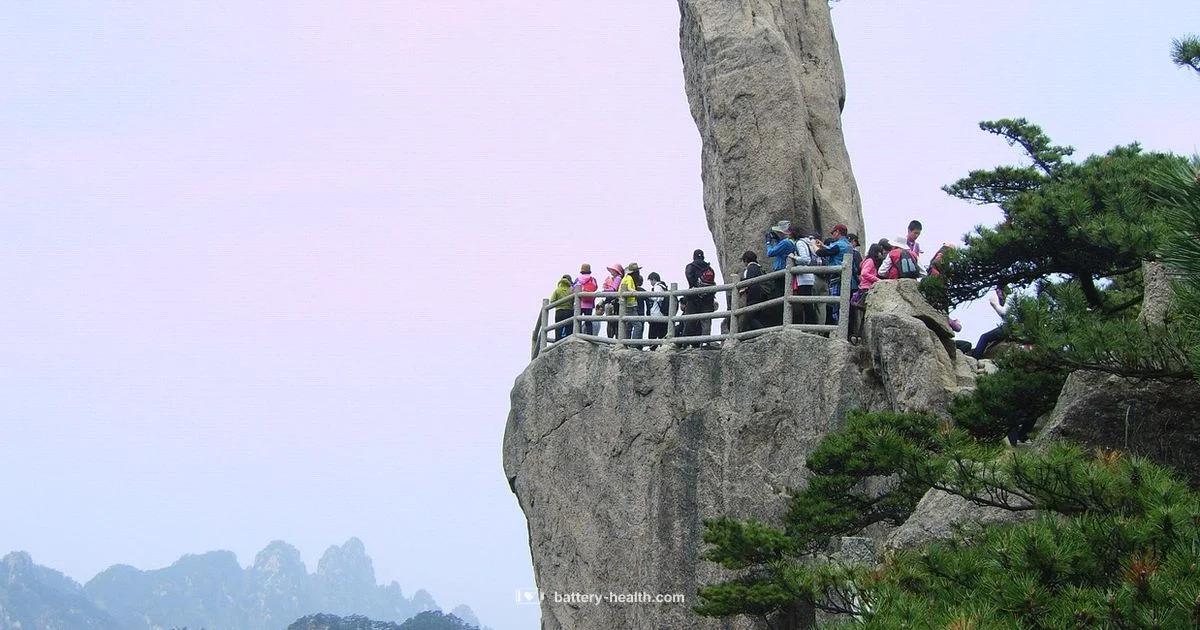 Battery Acid Safety Battery Acid Safety - Battery Health