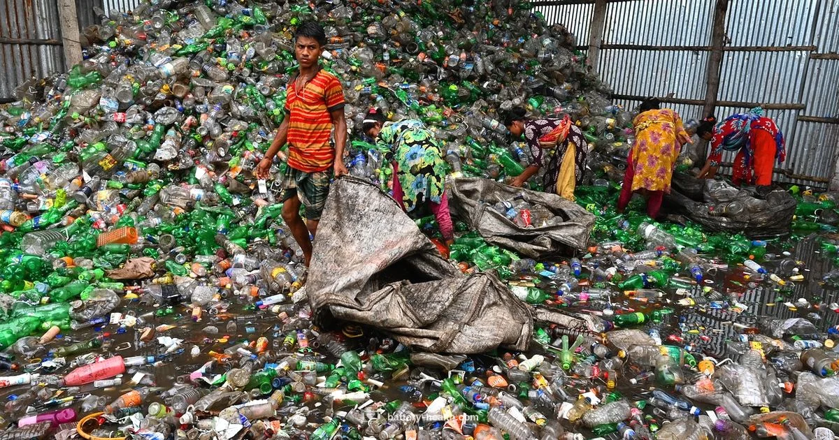 Safe Battery Disposal - Battery Health