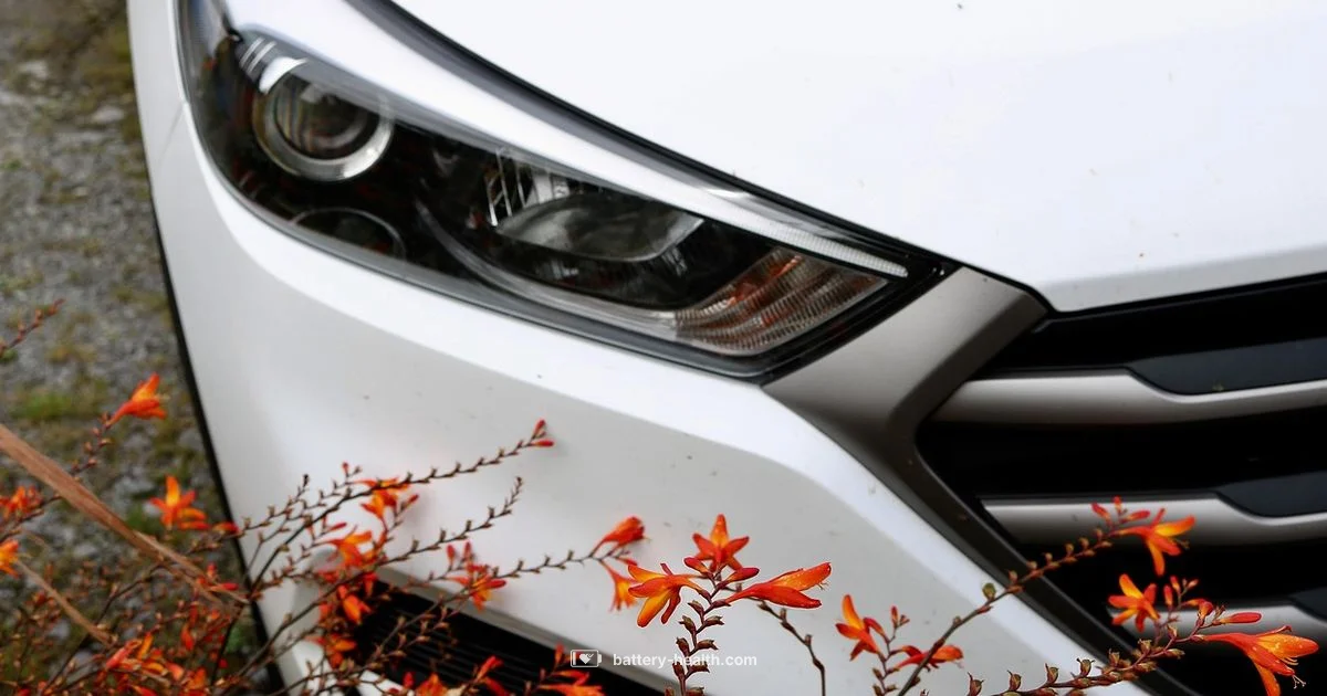 Jump Start Basics Jump Start Basics - Battery Health