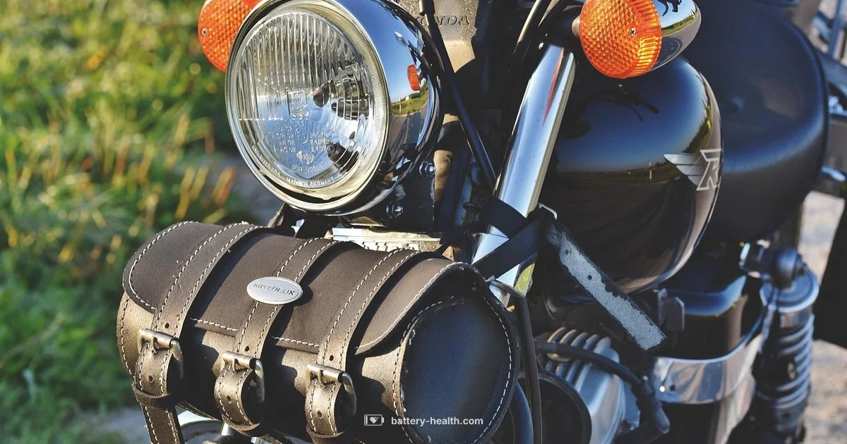 12V Battery Guide - Battery Health