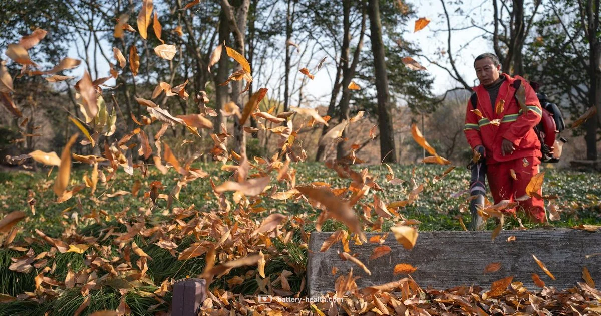 Outdoor Power Vacuum - Battery Health