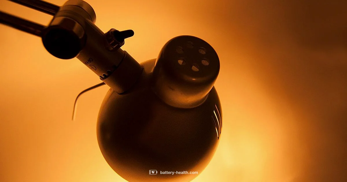 Cordless Light Bulb Setup Cordless Light Bulb Setup - Battery Health