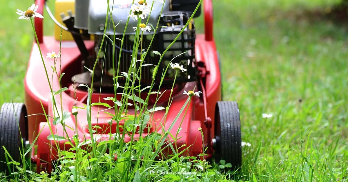 Greenworks Battery Review - Battery Health