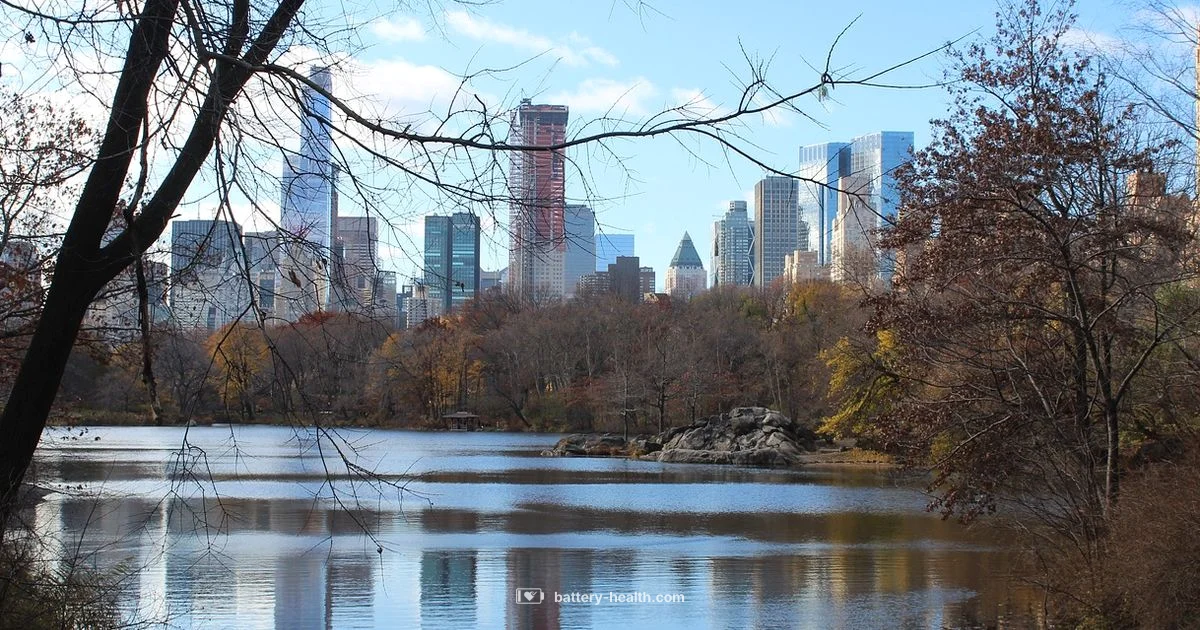 Wagner Park Guide - Battery Health