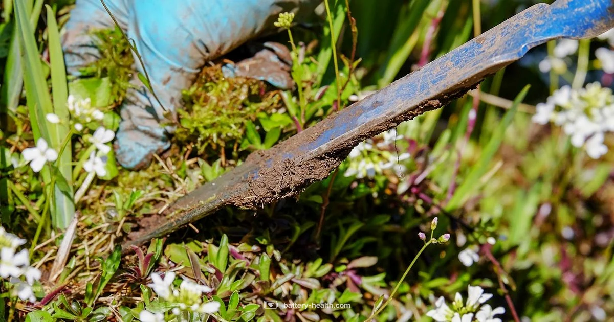 Cordless Weed Eater - Battery Health