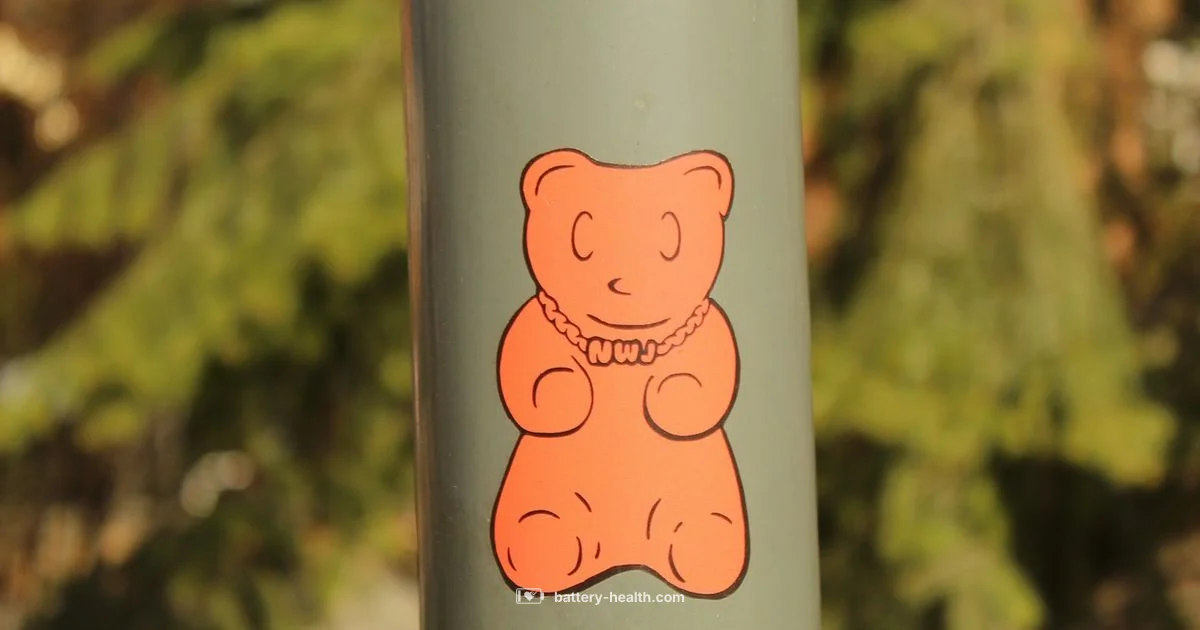 Year Sticker Basics - Battery Health