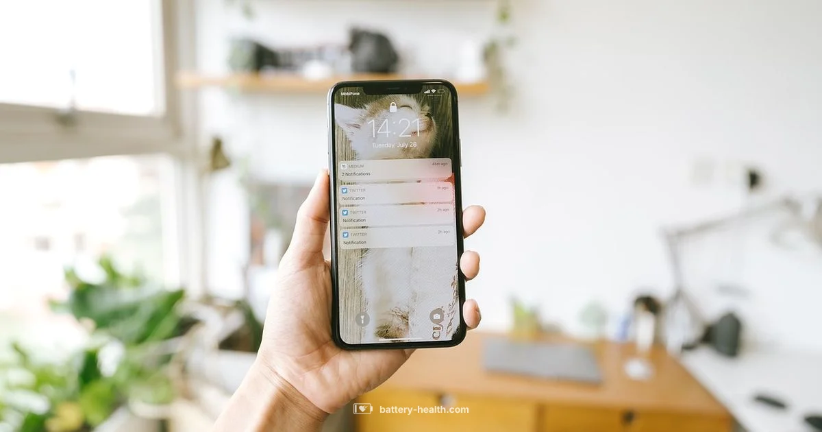 iPhone Battery Health