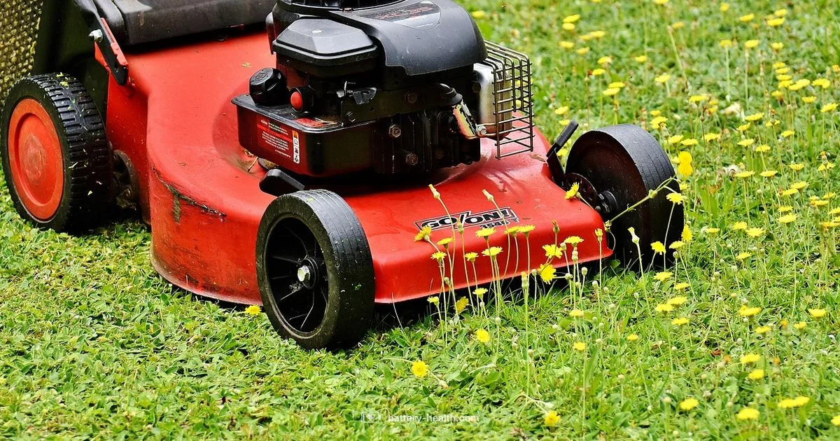 Electric Zero Turn Mowers - Battery Health