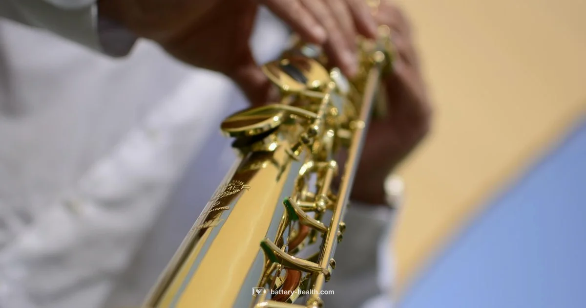 Picture Light Guide - Battery Health