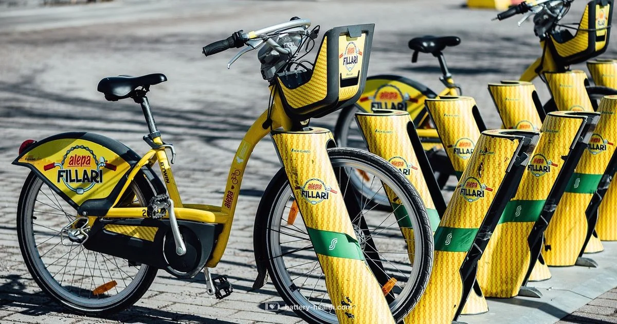 Battery Place Guide - Battery Health