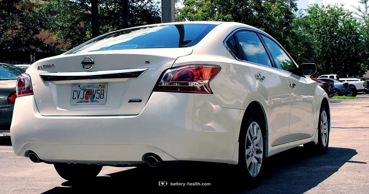 Altima Battery Guide - Battery Health