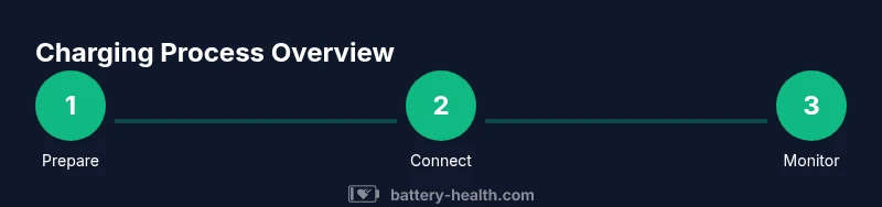 Process diagram for safe lithium battery charging