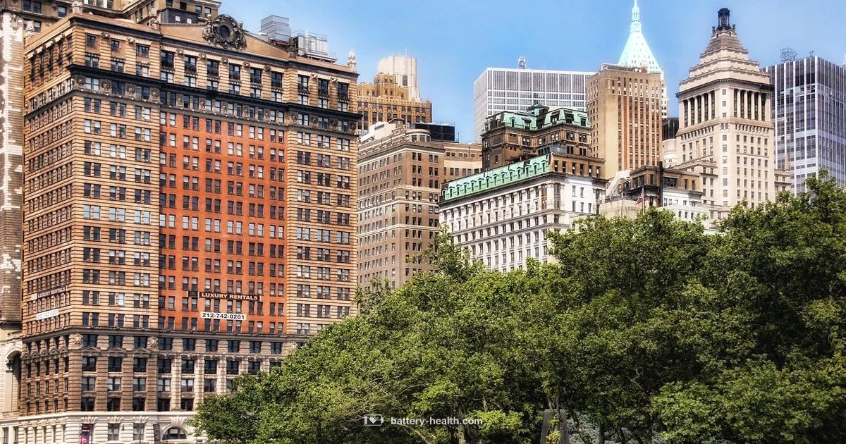 Battery Park Overview Battery Park Overview - Battery Health