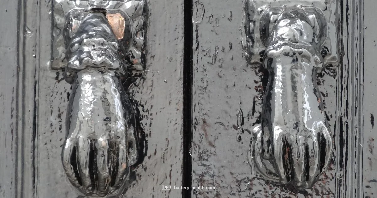 Backup Battery Guide - Battery Health