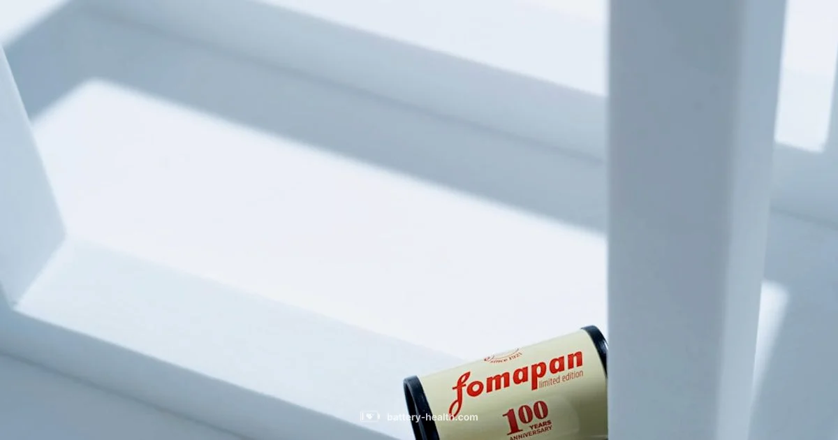 Alkaline 9V Guide - Battery Health