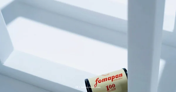 Alkaline 9V Guide - Battery Health