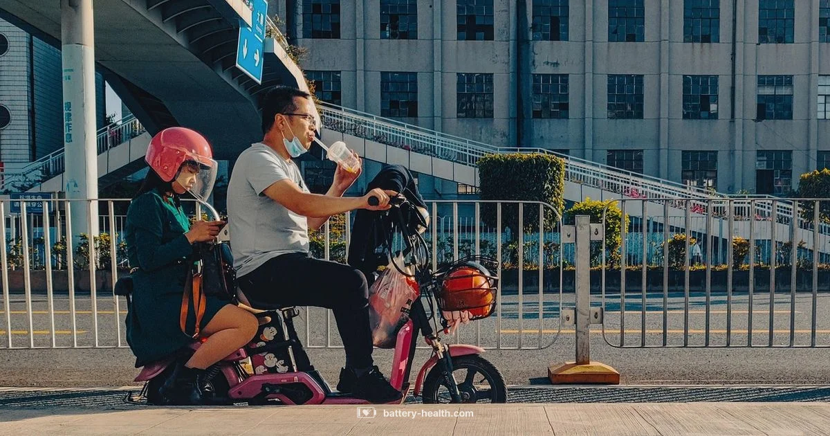 E-Bike Battery Swap - Battery Health