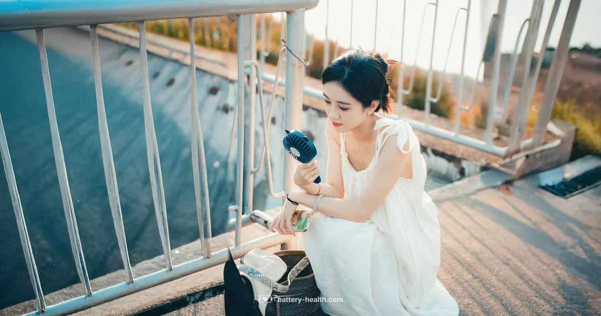 Battery Powered Fan Battery Powered Fan - Battery Health