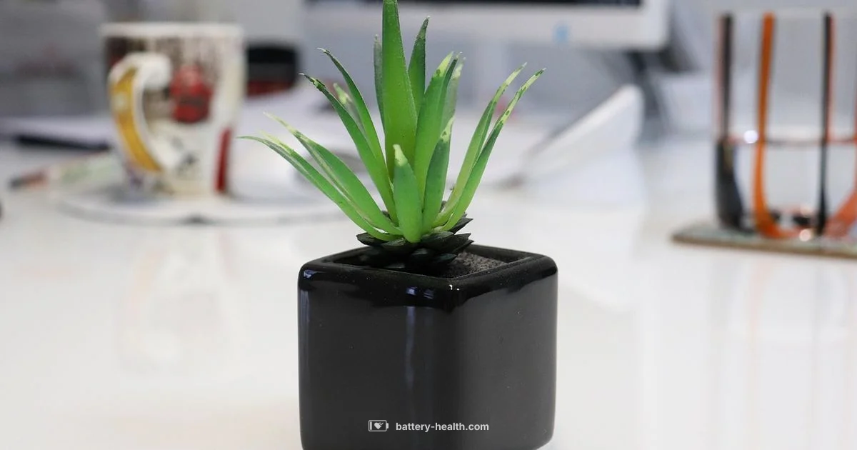 Safe AA Charging - Battery Health