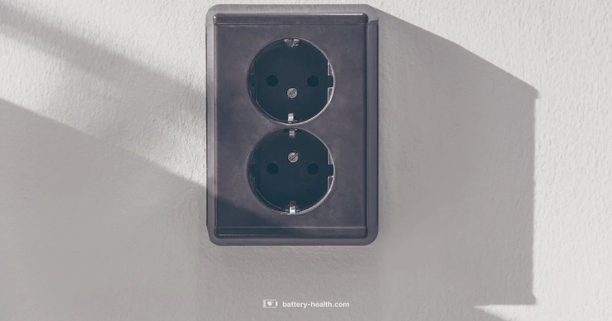 Eight Volt Battery - Battery Health