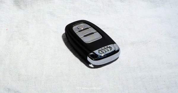 Key Fob Battery Change - Battery Health
