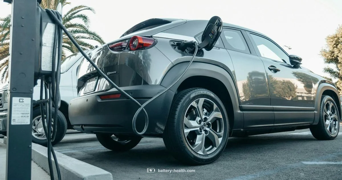 Car Battery Charger Guide Car Battery Charger Guide - Battery Health