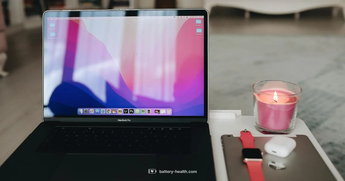 Battery Swap Guide - Battery Health