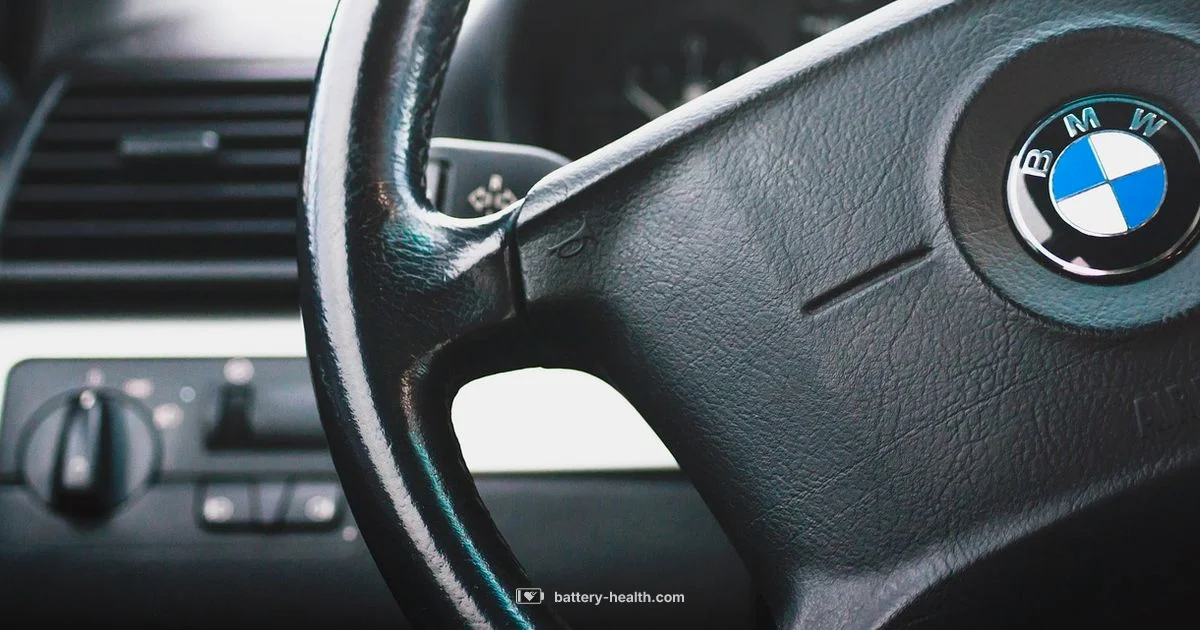 BMW Key Battery Guide - Battery Health