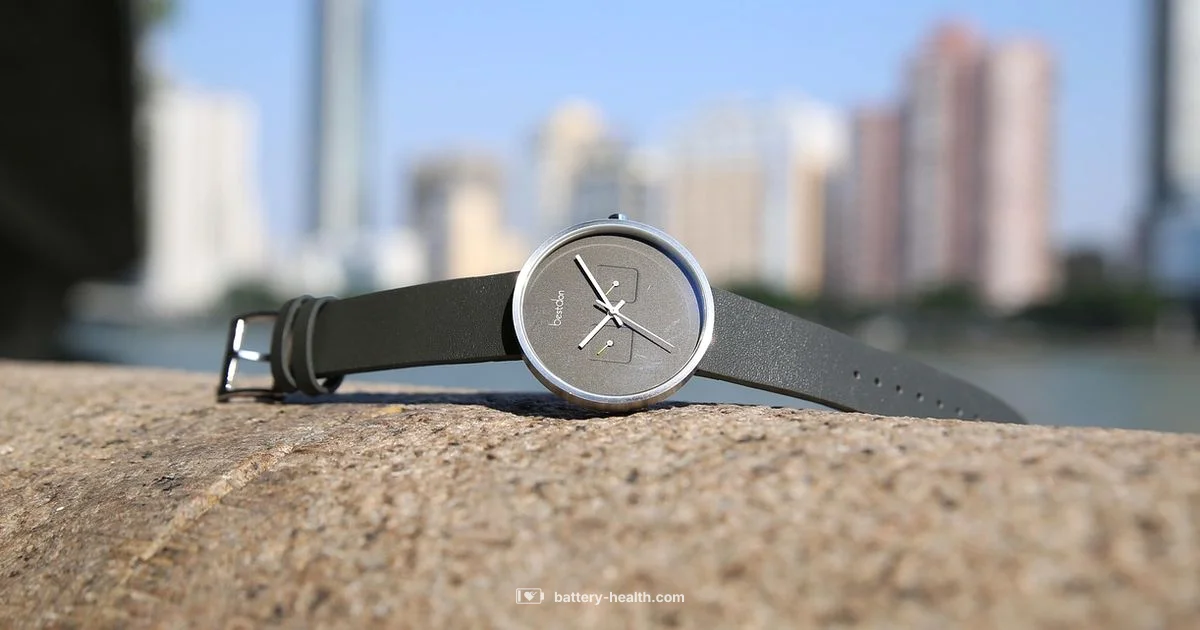 Battery Change Guide Battery Change Guide - Battery Health