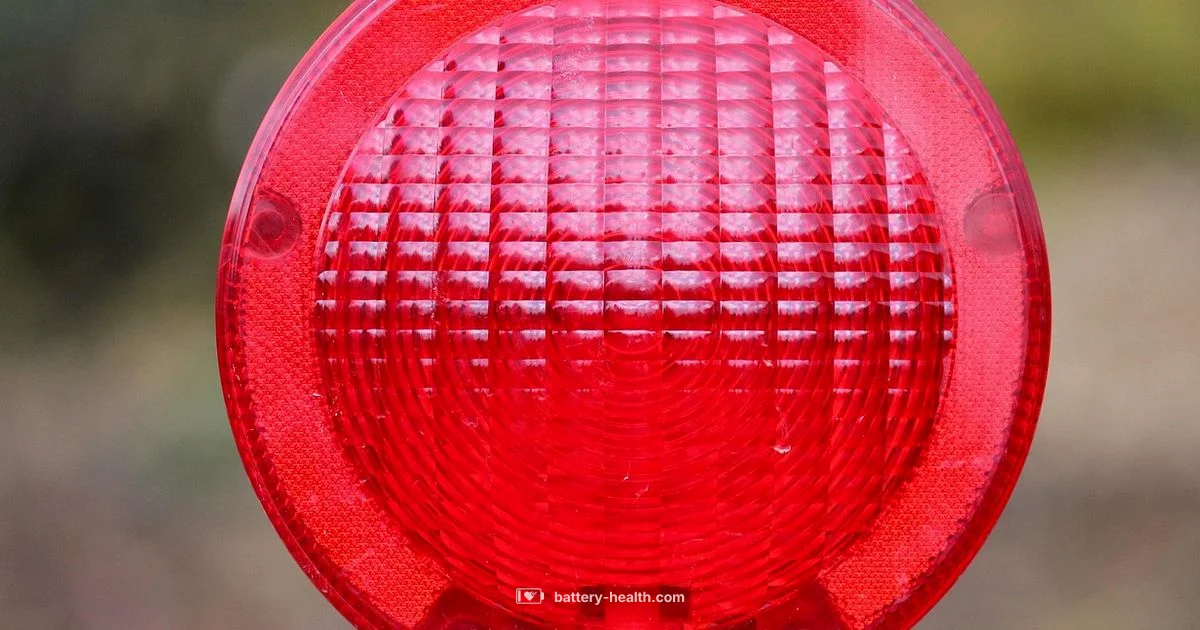 Battery Health Check