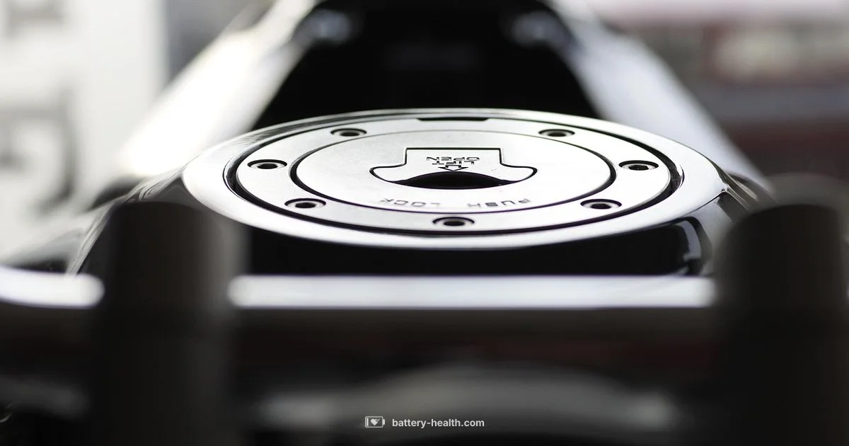 Accord Battery Guide - Battery Health