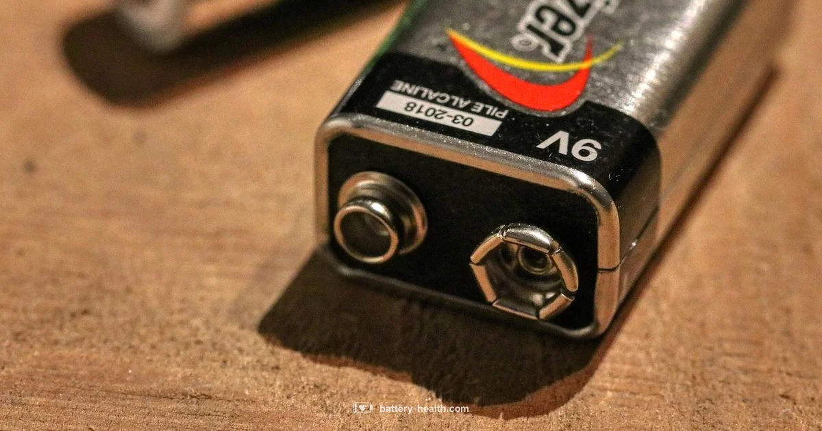 Whole House Battery Back Up Whole House Battery Back Up - Battery Health