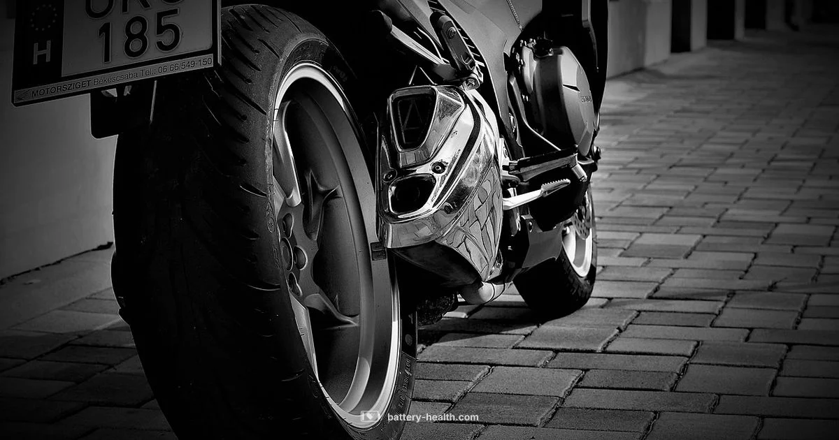 Accord Battery Guide - Battery Health