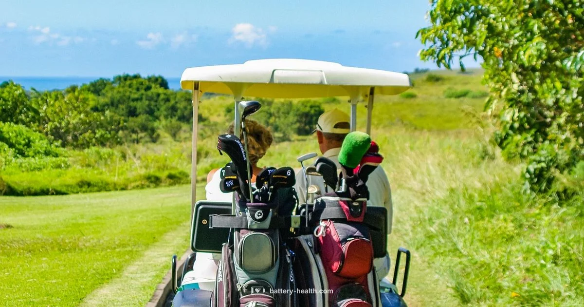 Li Ion Golf Cart Li Ion Golf Cart - Battery Health