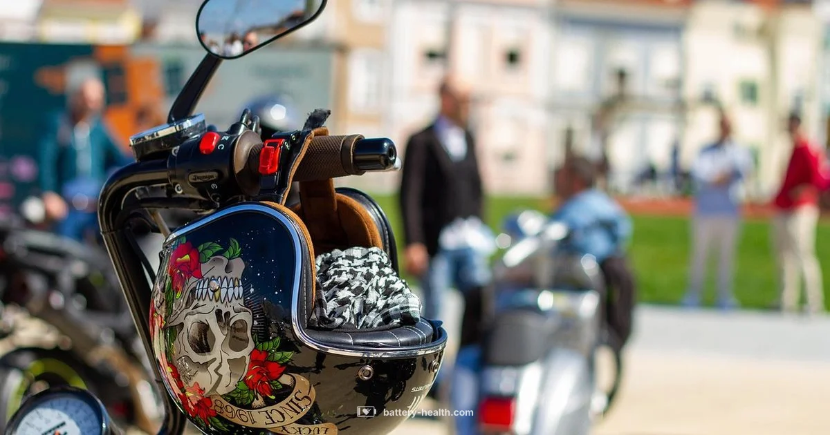 YTX4L BS Battery - Battery Health