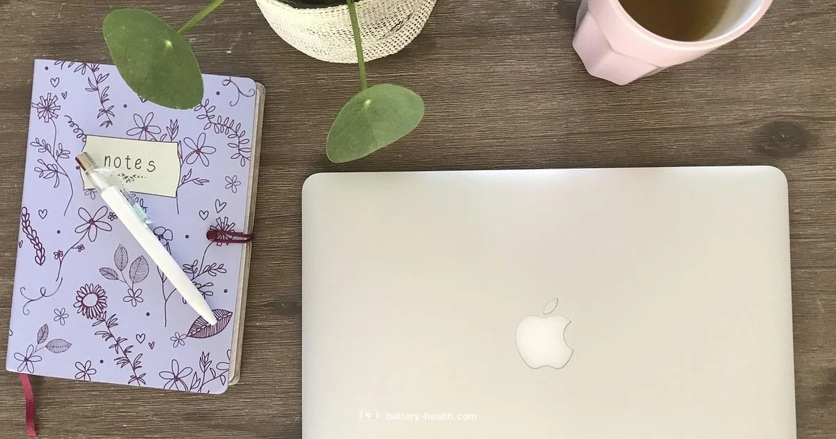 MacBook Charge Fix - Battery Health