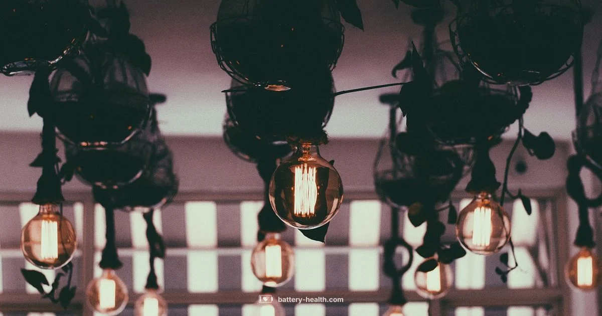 Bulb and Battery Plus - Battery Health