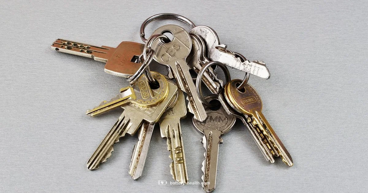 CR2032 Key Fob CR2032 Key Fob - Battery Health