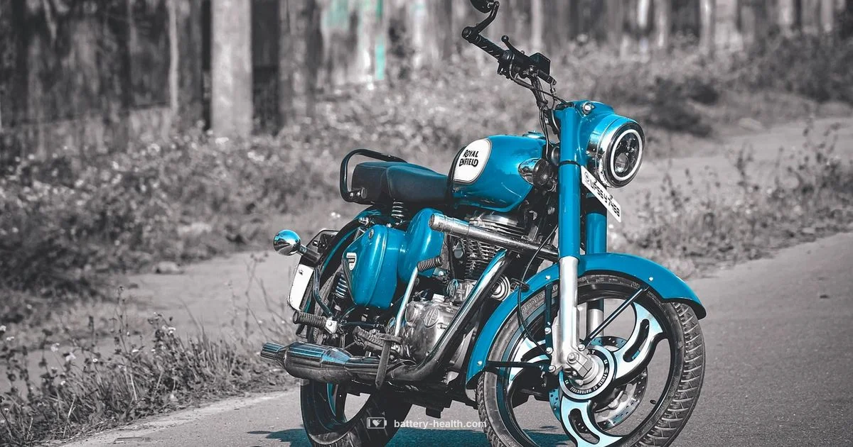 Battery YTX14-BS Essentials - Battery Health