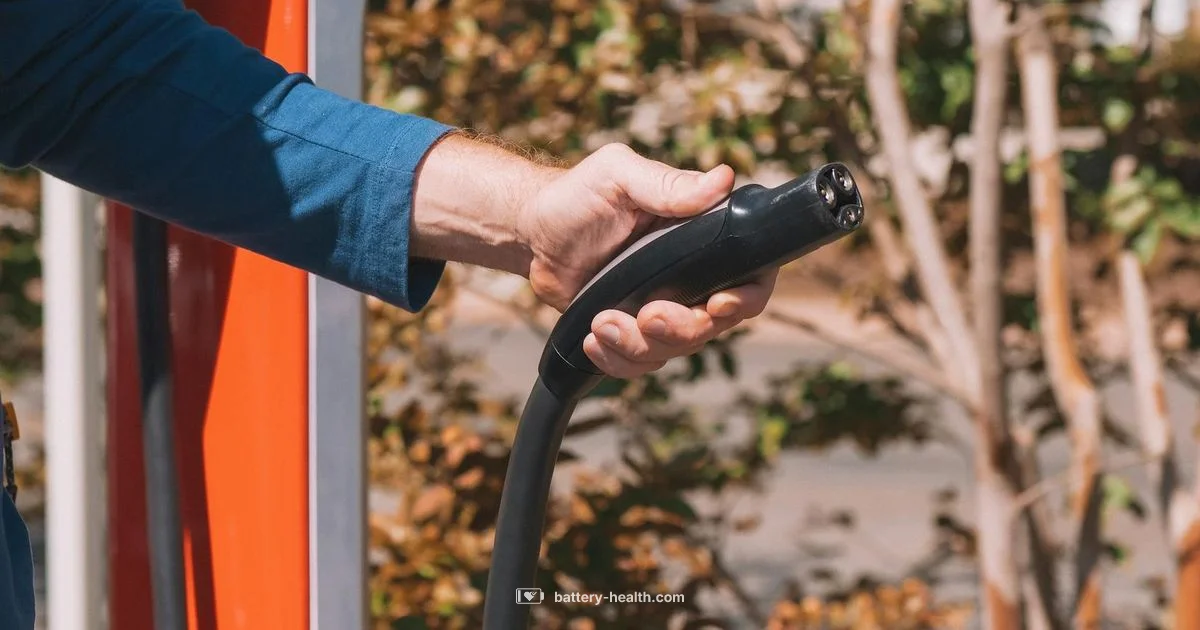 Best Automotive Chargers Best Automotive Chargers - Battery Health