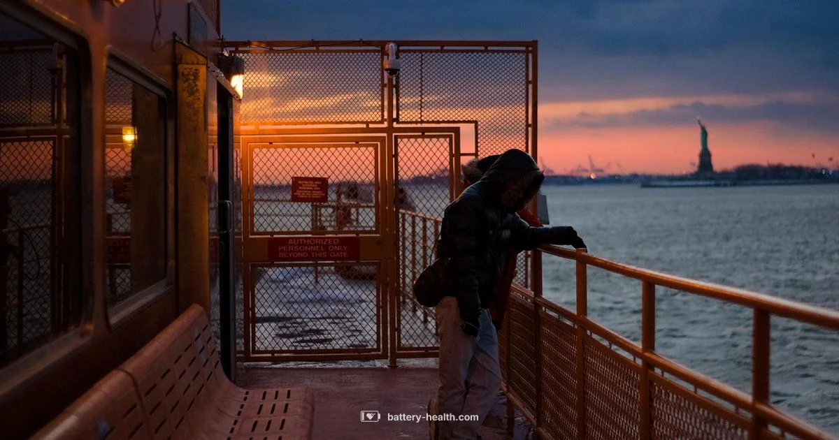 Harbor Landmark Visit - Battery Health