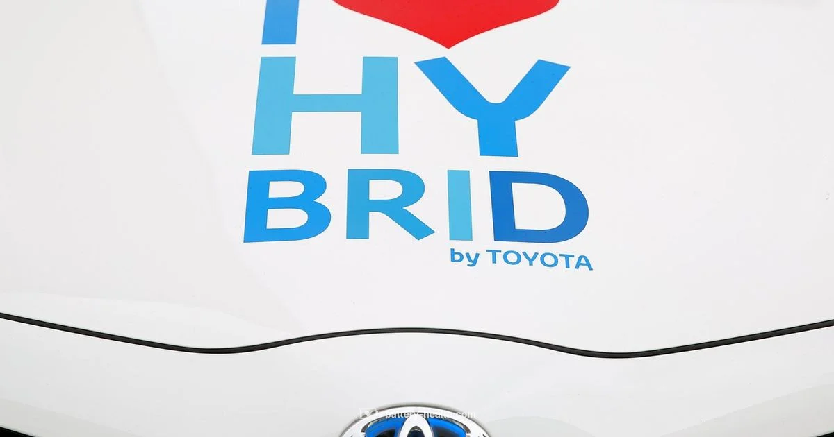 Hybrid Battery Lifespan - Battery Health