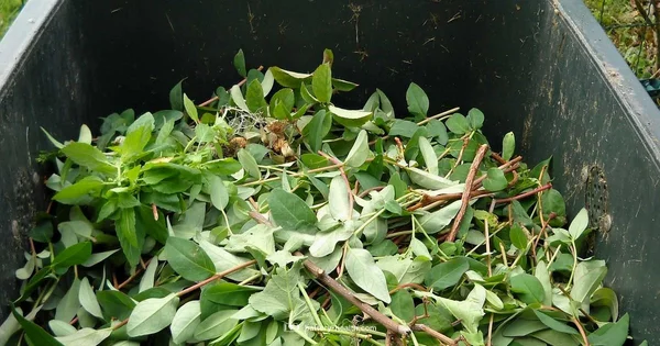 Nearby Recycling - Battery Health