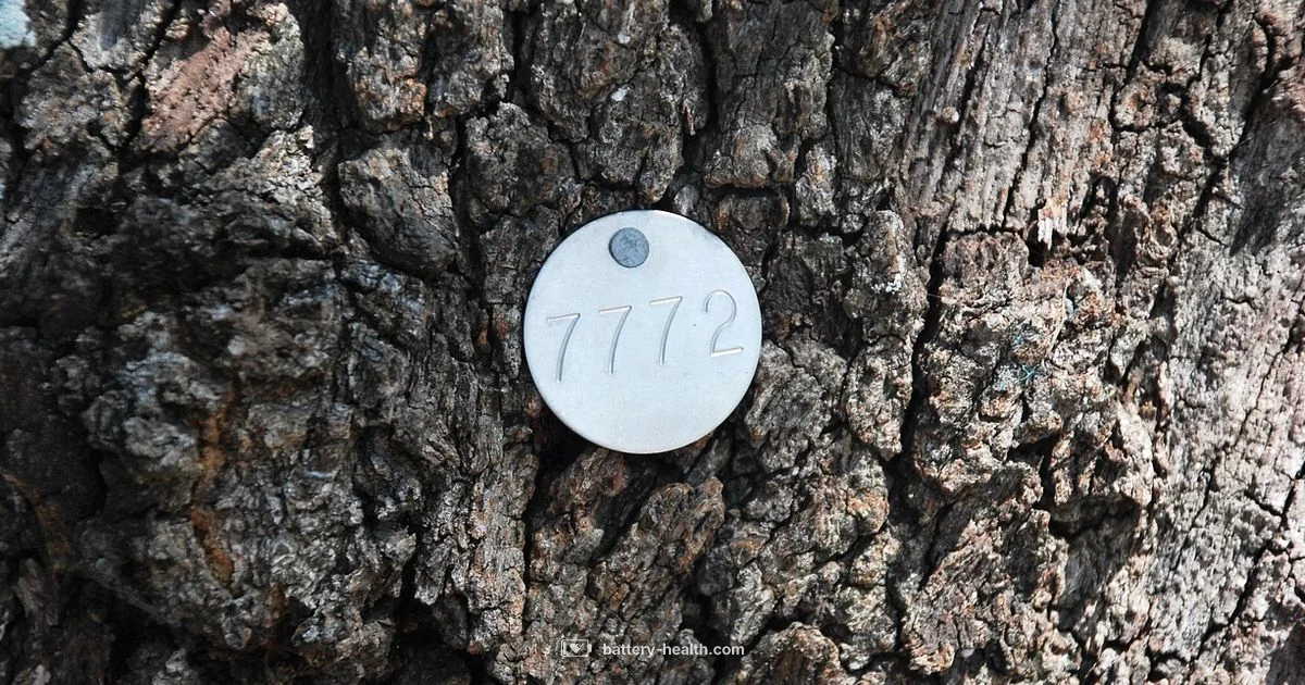 Negative Terminal Negative Terminal - Battery Health