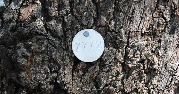 Negative Terminal - Battery Health