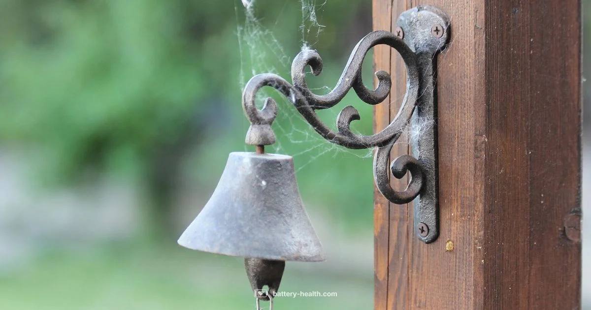 Ring Battery Doorbell Pro Ring Battery Doorbell Pro - Battery Health