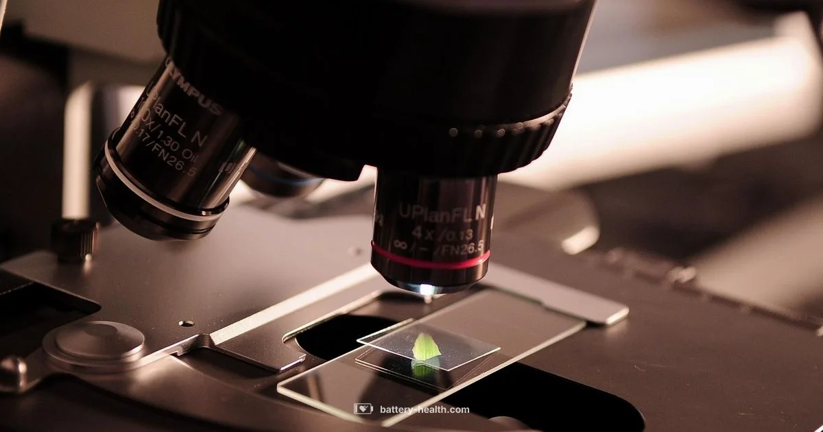 Battery 019 Explained - Battery Health